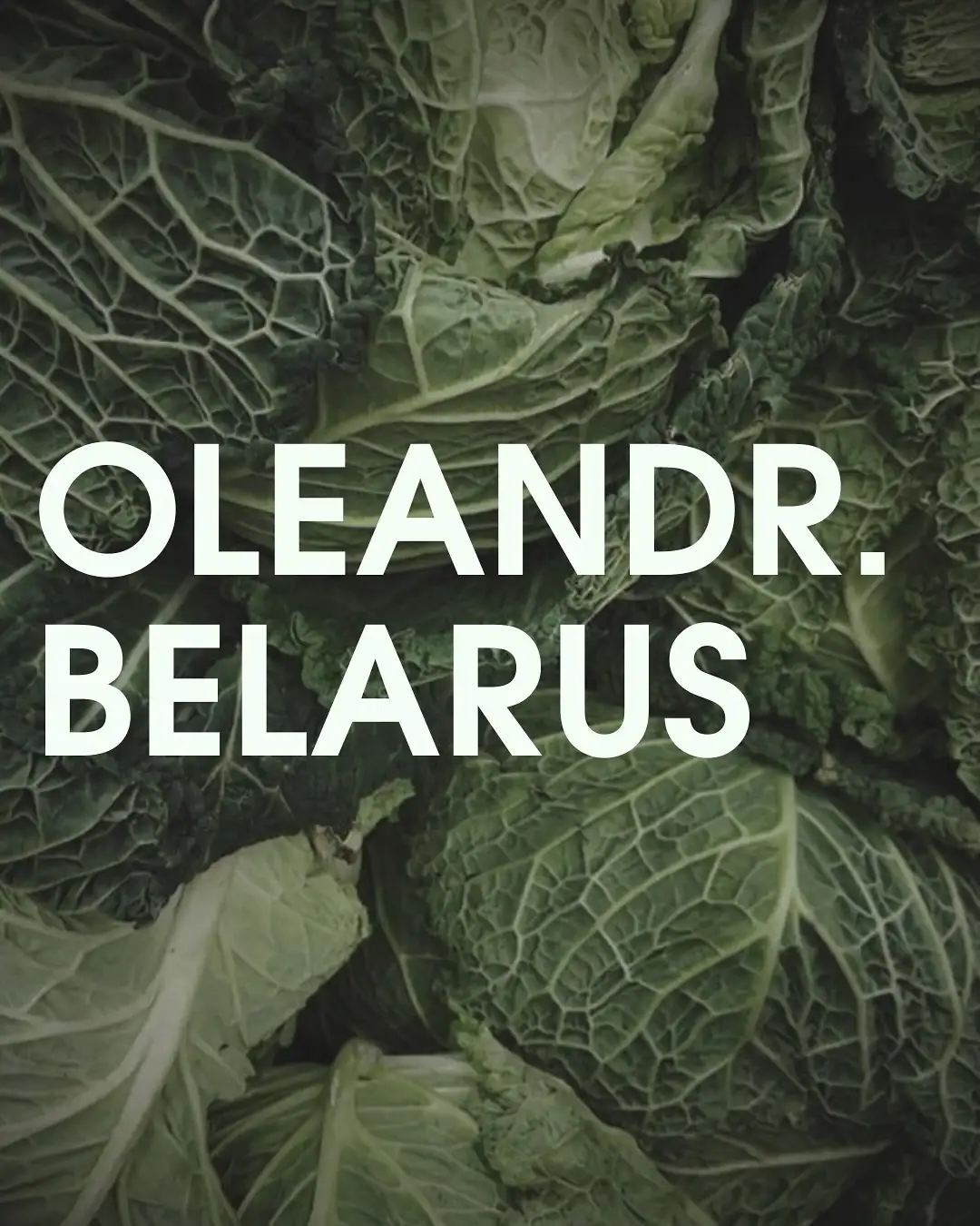 Фермерские продукты от Oleandr: история вкуса, вдохновения и домашнего уюта