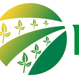 Плодовая продукция