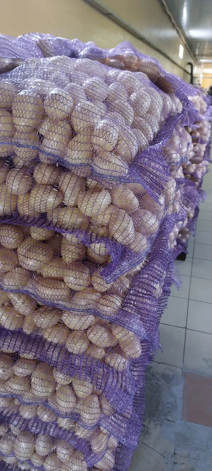 Картофель,овощи