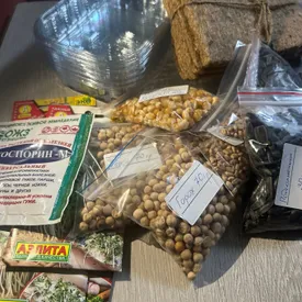 Микрозелень 