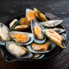 Мясо мидии