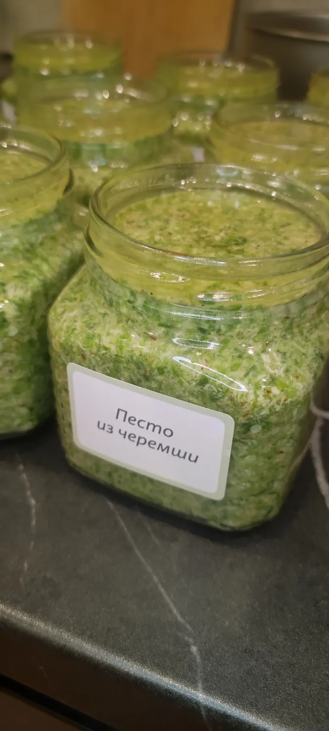 Песто из черемши  фото 1