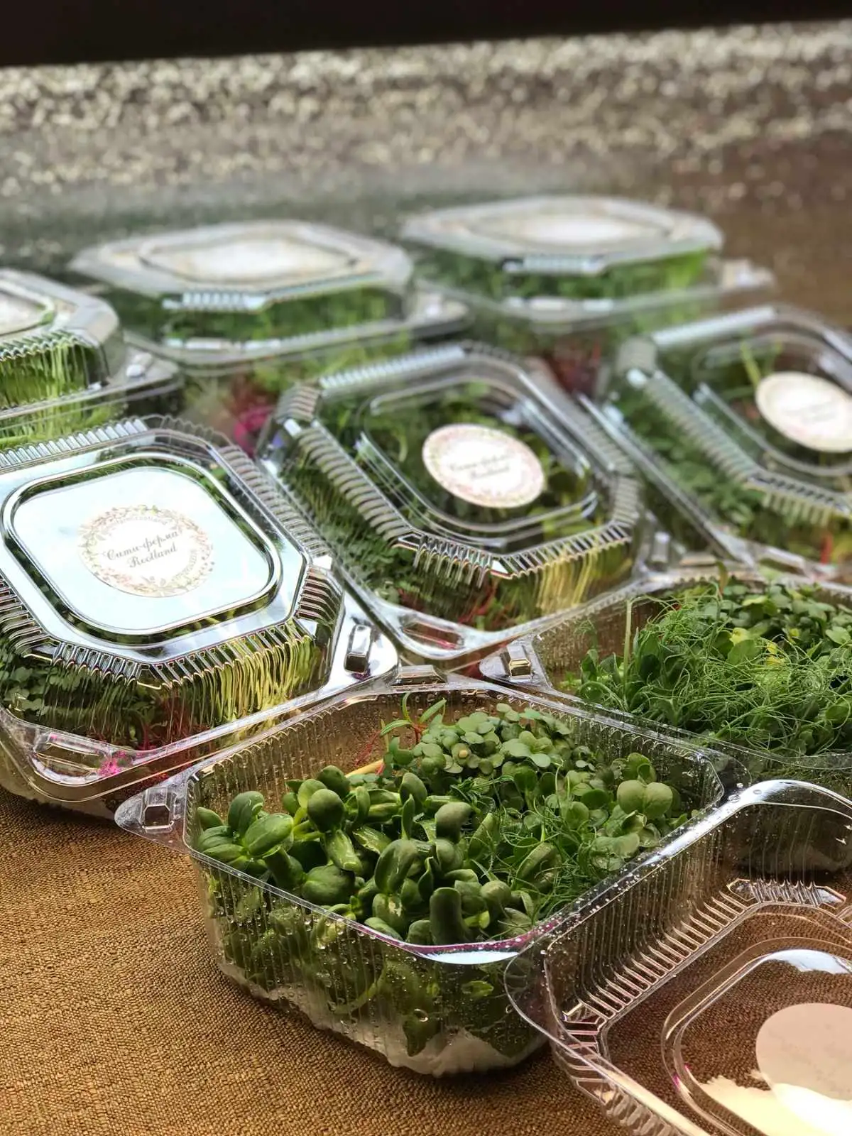 Горох, 100 г (микрозелень в срезке) фото 1