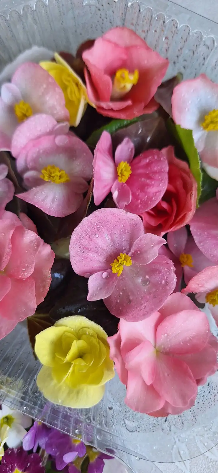 Пищевые цветы, 20–22 шт. фото 2