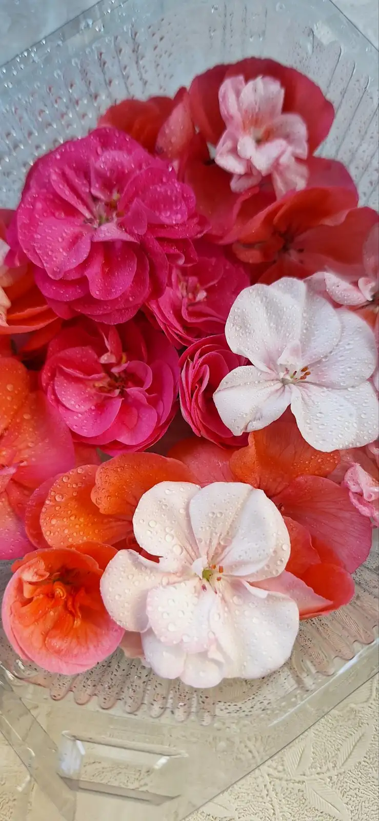 Пищевые цветы, 20–22 шт. фото 4