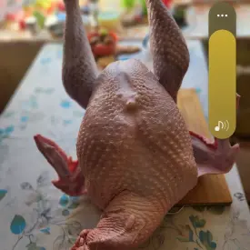 Индейка