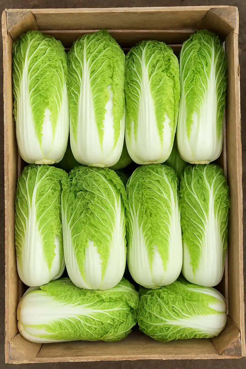 Капуста пекинская (опт от 2000 кг)