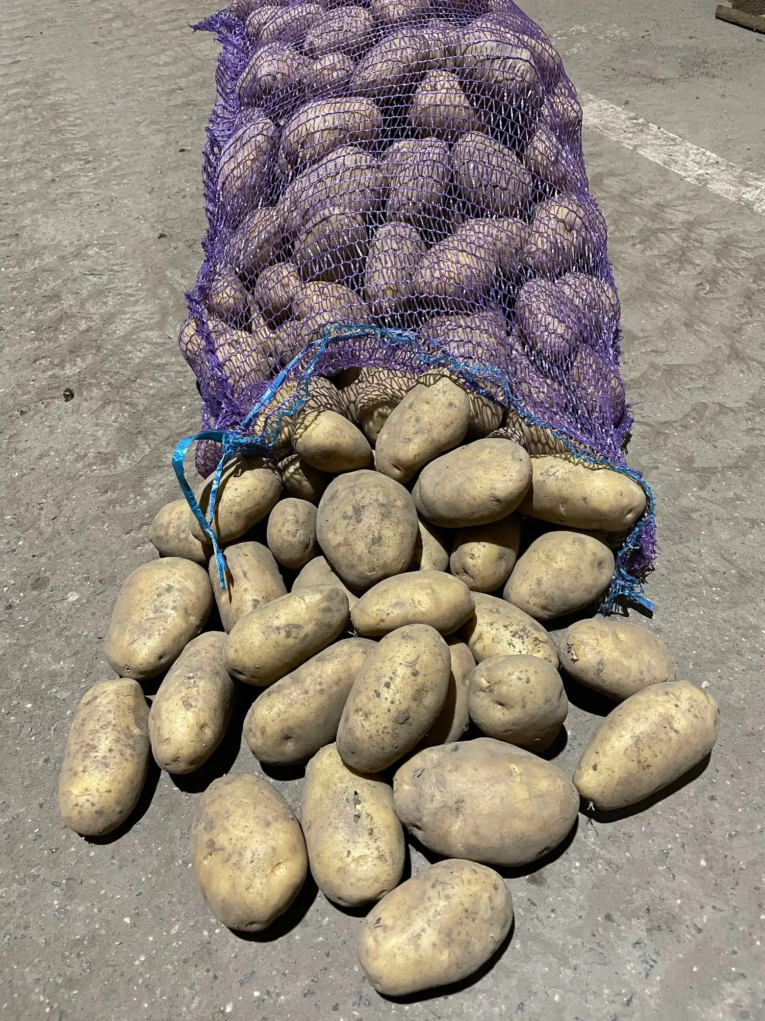 Картофель