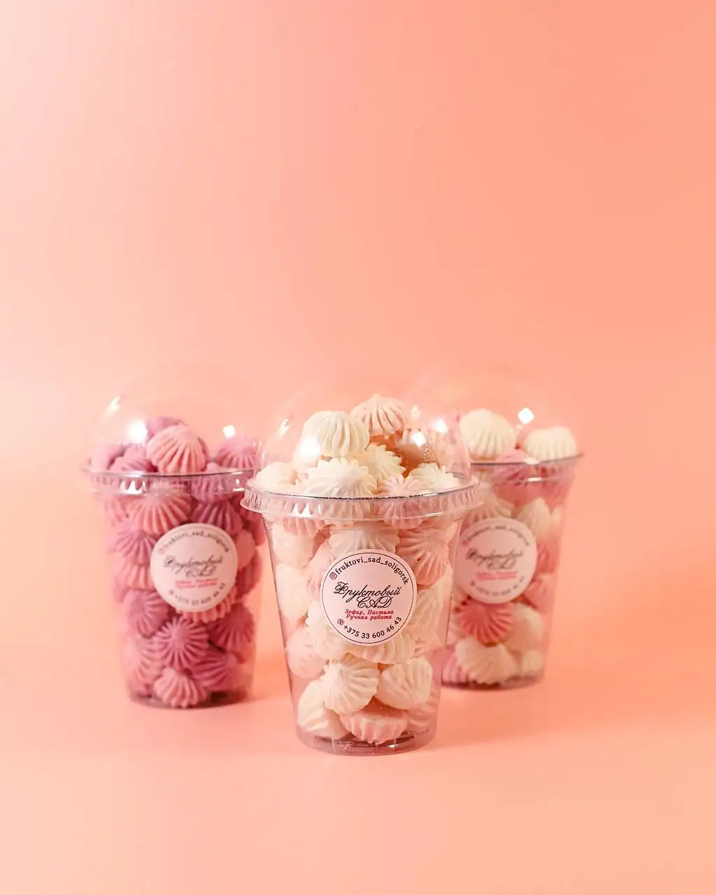 Фруктовые пастилки, 400 мл фото 1