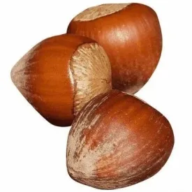 Фундук в скорлупе, 1 кг
