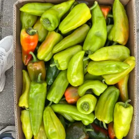 Перец зеленый, 1 кг