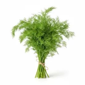 Укроп свежий, 1 кг (опт)