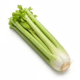 Сельдерей стебель, 1 кг (опт)