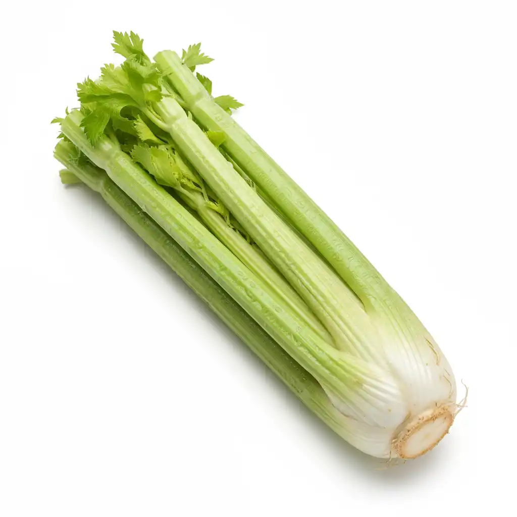 Сельдерей стебель, 1 кг (опт)