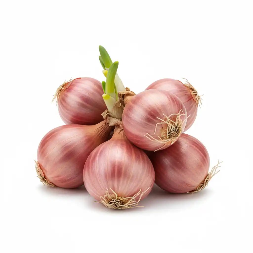 Лук Шалот, 1 кг (опт)