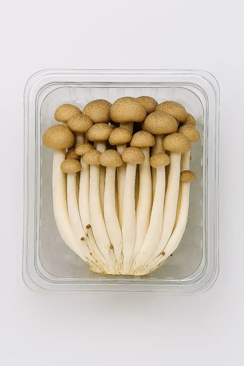 Грибы свежие шимеджи, целые, фас.,150 г (опт)