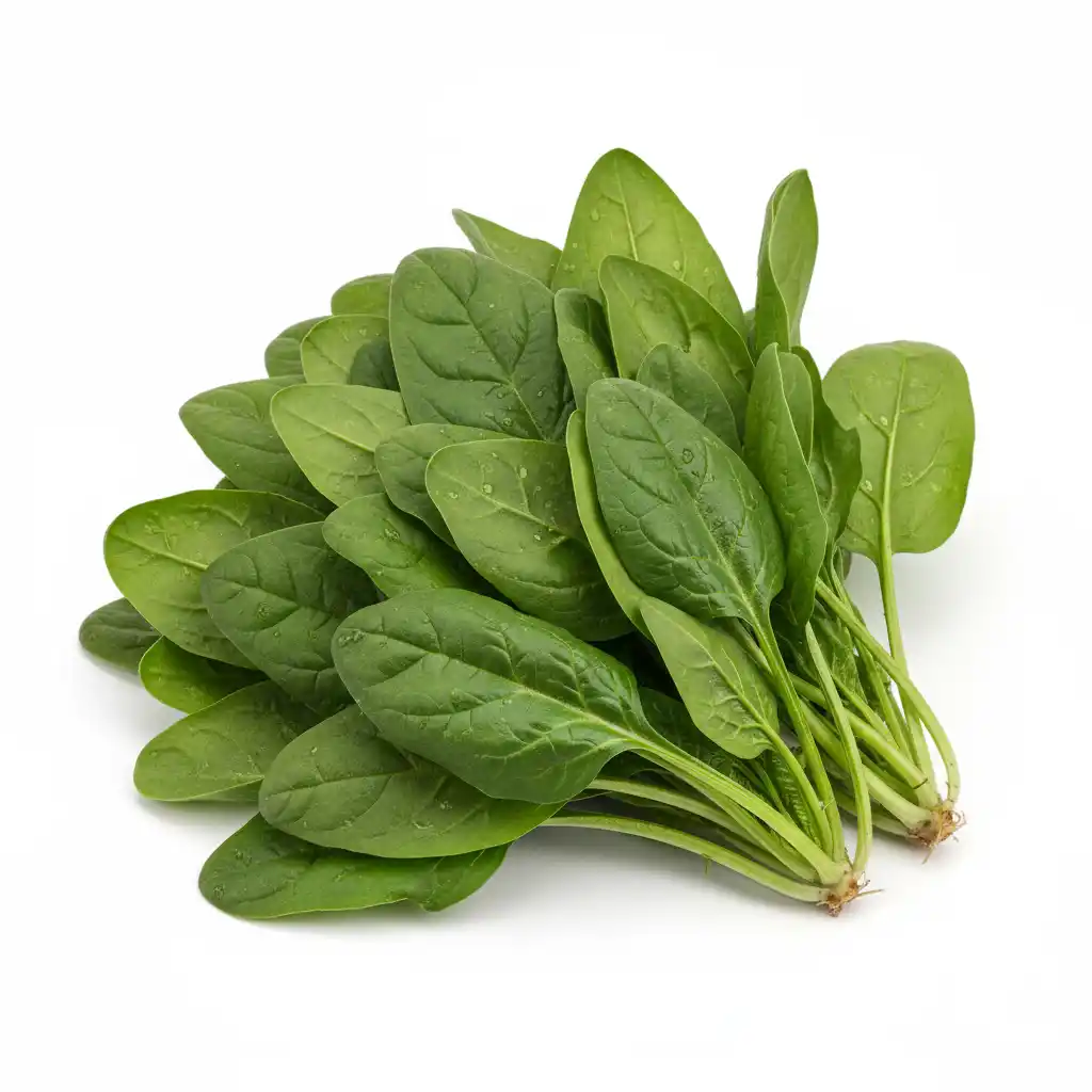 Шпинат свежий, РБ, 1 кг (опт)