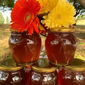 Мёд лесной, 1 кг